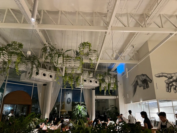 a pic of k's charcoal